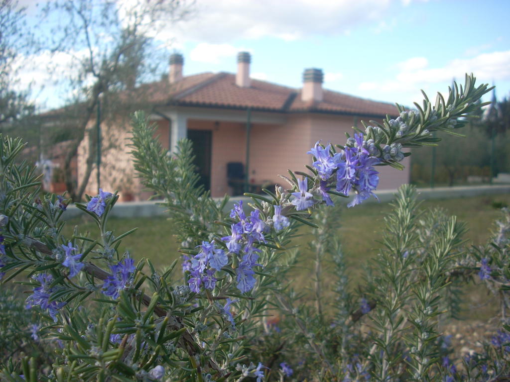 Residence Ai Campi Da Golf Saturnia Quarto foto