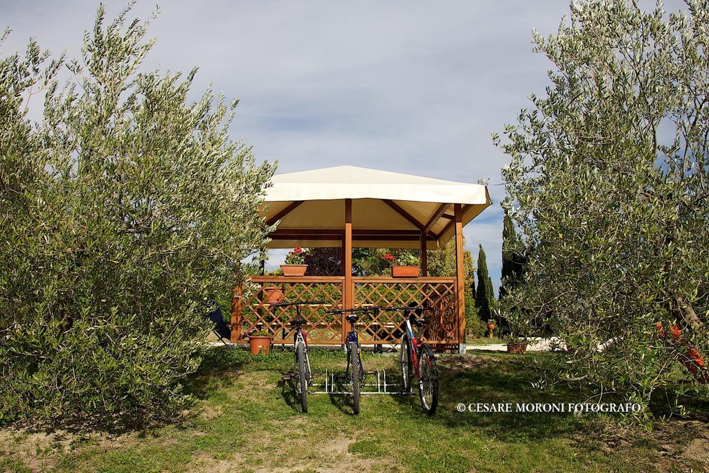 Residence Ai Campi Da Golf Saturnia Quarto foto
