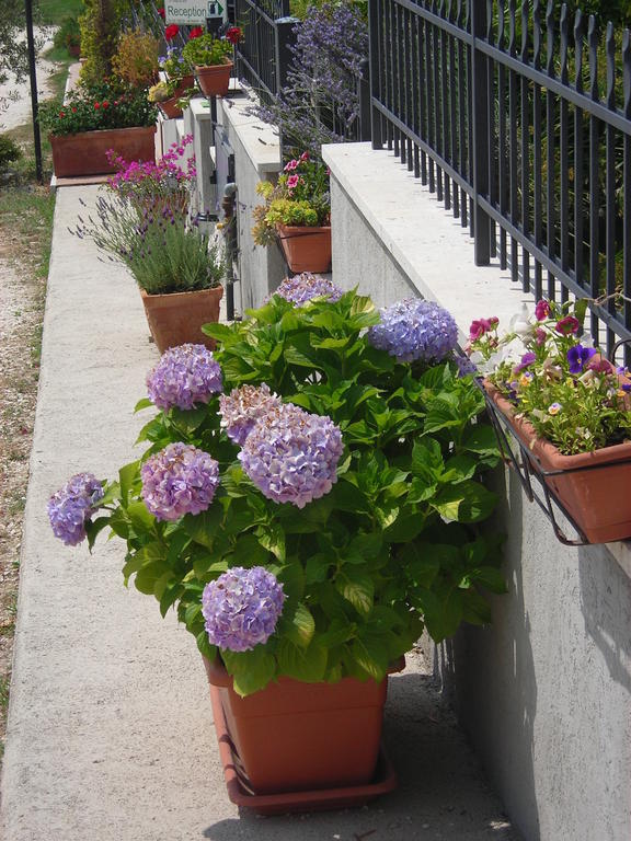 Residence Ai Campi Da Golf Saturnia Quarto foto